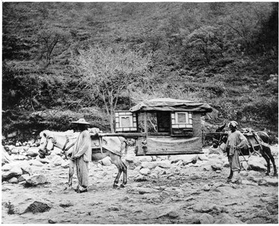 Pekingese Mule Litter, c.1867-72 by John Thomson